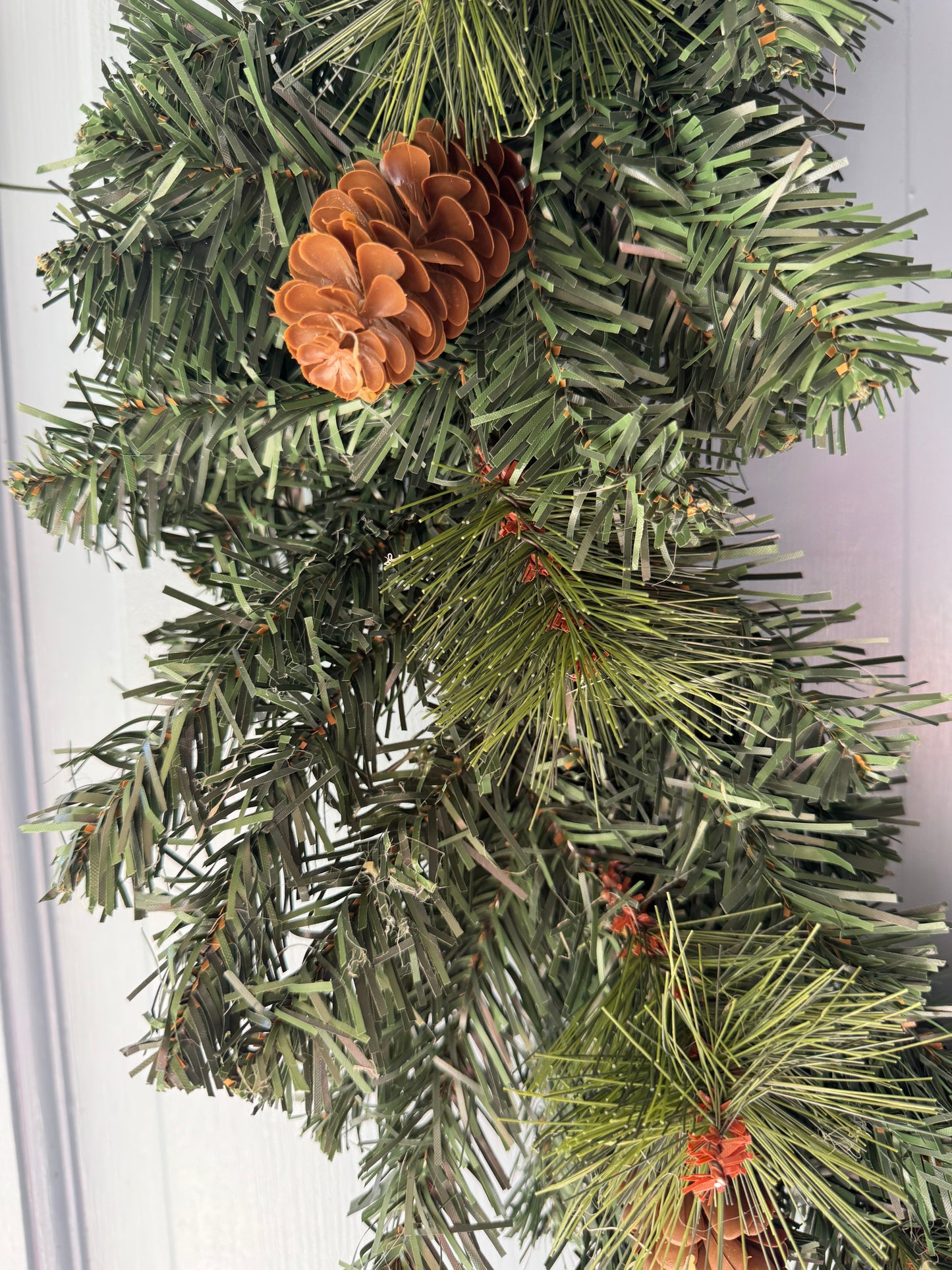 ✨Evergreen Charm✨