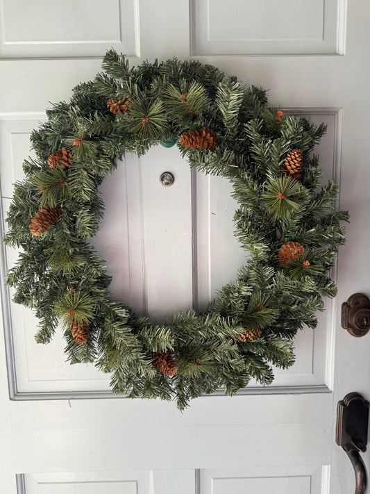 ✨Evergreen Charm✨