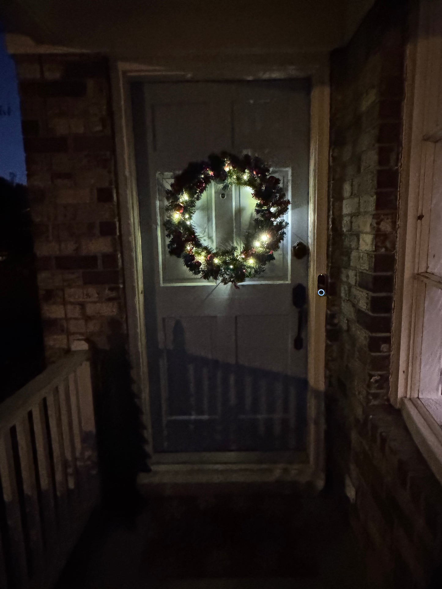 ✨Evergreen Charm✨